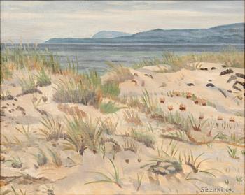 Haruo Sezaki, Kivik, towards Stenshuvud.