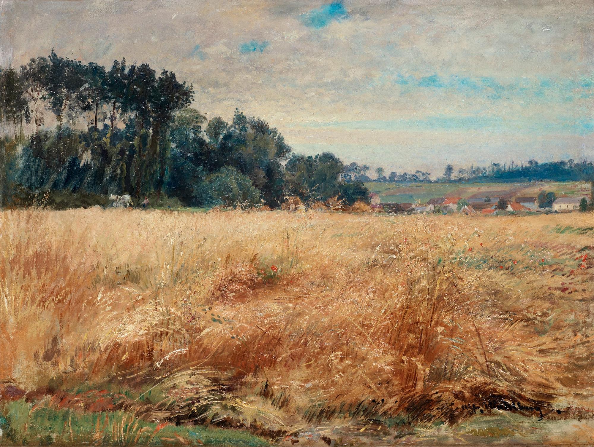 Alfred Wahlberg, Undulating field with poppies.