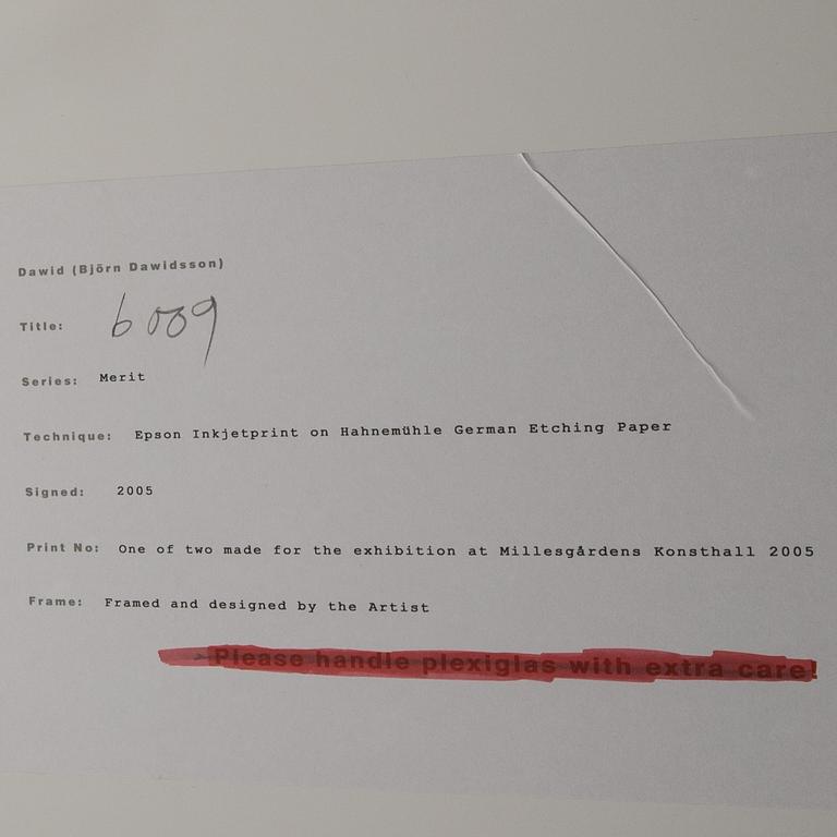 Dawid (Björn Dawidsson), "B016" from the Merit series, 2005.