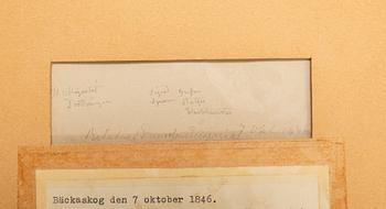 Prinsessan Eugénie, Pencil drawings, 2 pcs., 1840s.