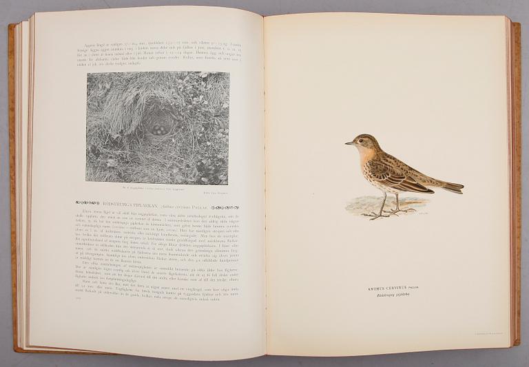 BÖCKER, 3 vol, "Svenska Fåglar", M,W & F von Wright, Stockholm 1927 och 1929.