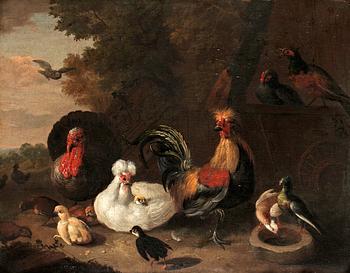 296. Melchior de Hondecoeter Hans efterföljd, Stilleben med hönsfåglar.