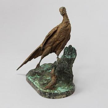 Jules Moigniez, Fasaani ja näätäeläin.