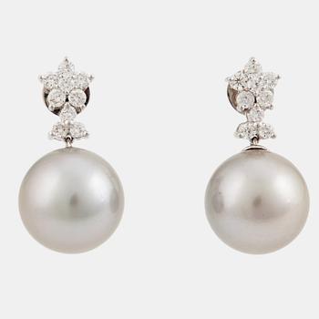 865. A pair of cultured Tahiti pearl and brilliant cut diamond earrings.