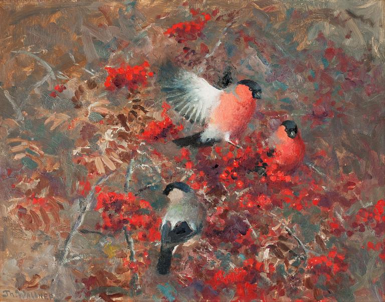 Thure Wallner, Bullfinches in a rowan tree.