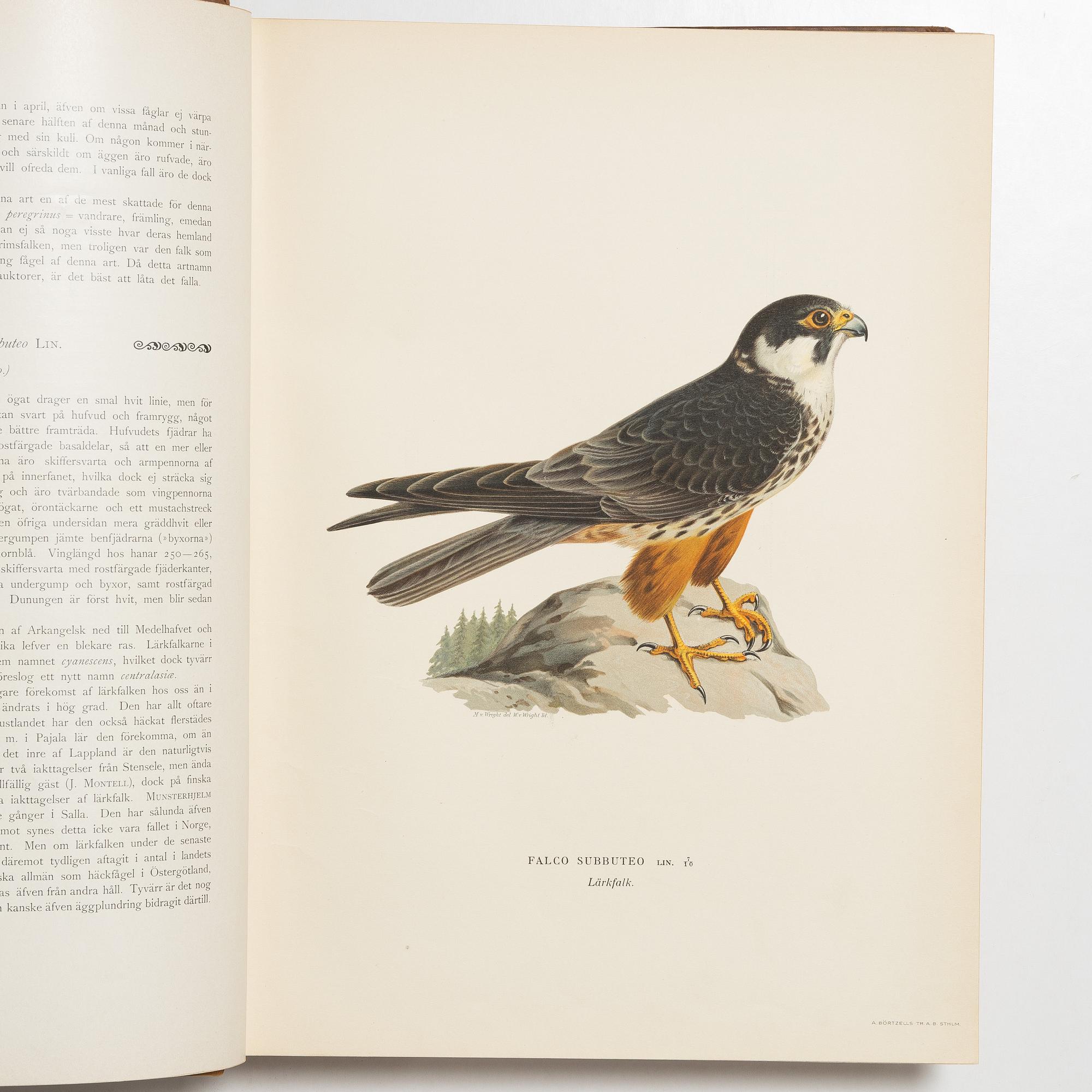 Bröderna von Wright, bokverk, 3 band, "Svenska fåglar", A. Börtzells tryckeri AB, Stockholm, 1927-1929.