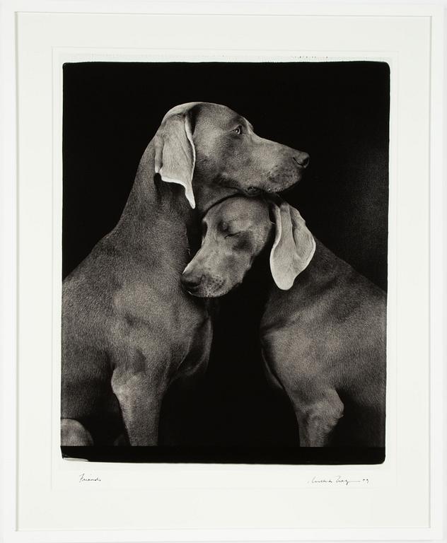 William Wegman, "Friends".