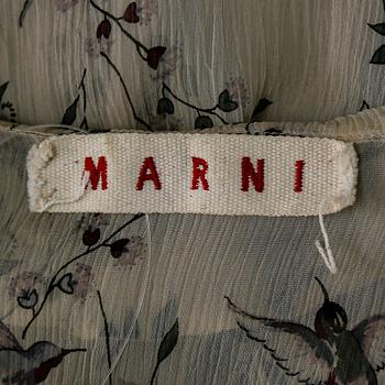 BLUS, Marni.