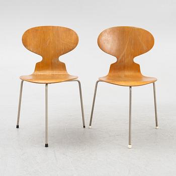 Arne Jacobsen, stolar, 6 st, "Myran", Fritz Hansen, Danmark, 1900-talets mitt.