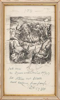 Einar Forseth,.