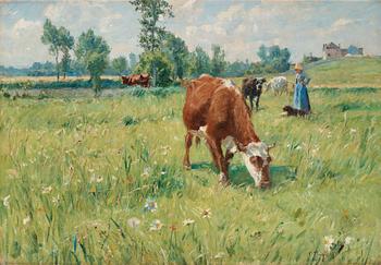 597. Carl Trägårdh, Grazing cattle.