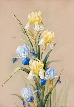 67. Maria Wiik, IRISES.