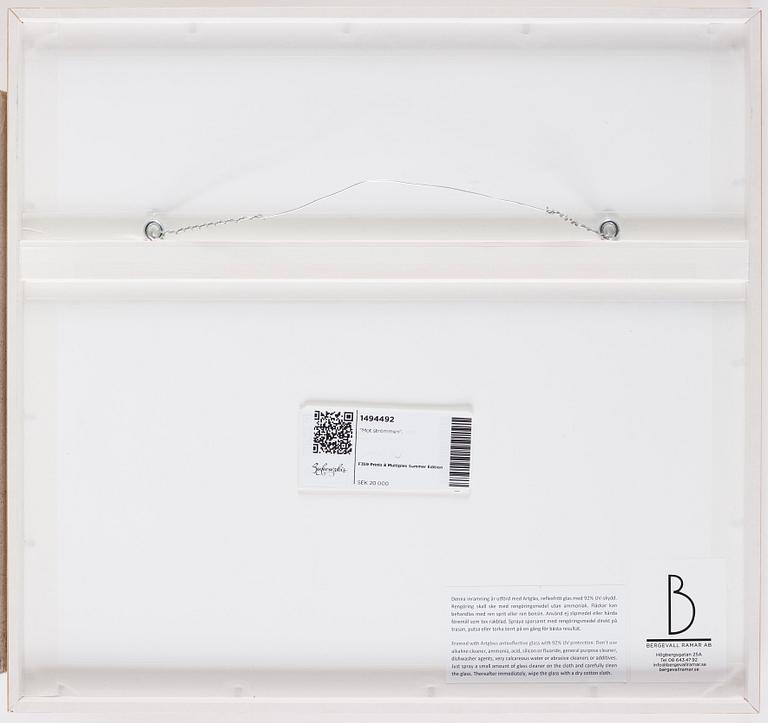 Anders Zorn, "Mot strömmen".