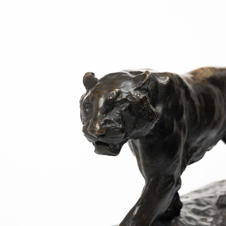 Johan Axel Wetterlund, Tiger.