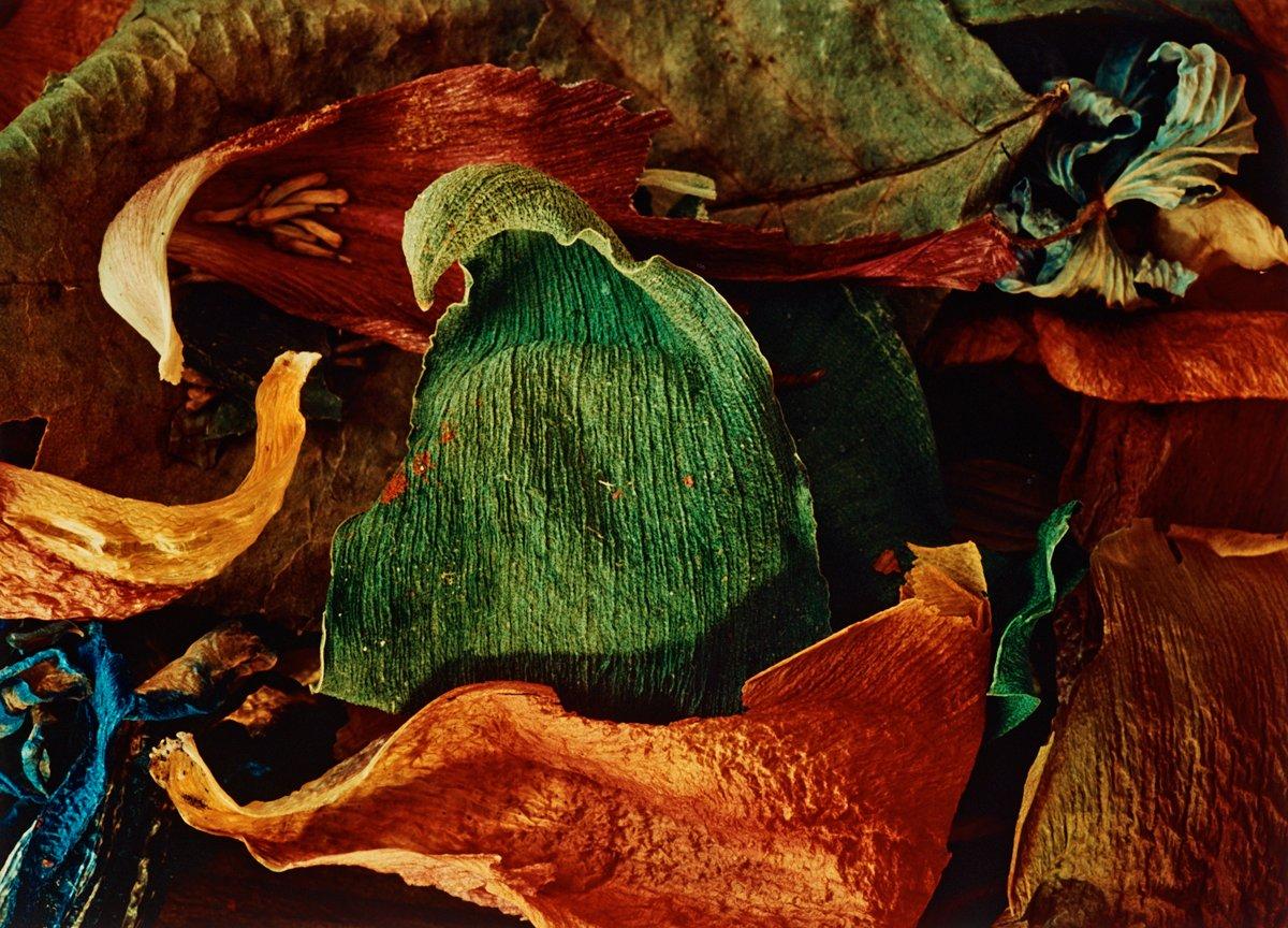 Georg Oddner, "Det gröna bladet", 1993.