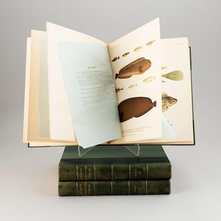 Wilhelm von Wright, "Skandinaviens fiskar", 3 volymer, Stockholm, P. A. Norstedt & Söners Förlag, 1892-95.