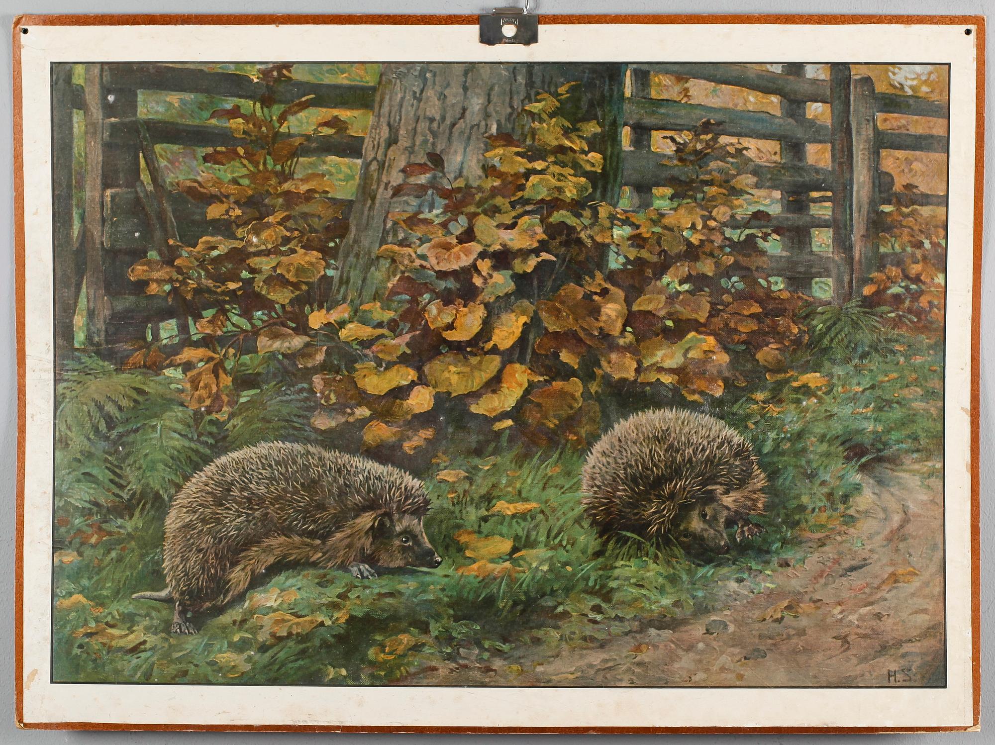 SKOLPLANSCHER, 4 st, 1900-talets första hälft.