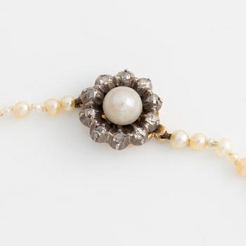 Pearl necklace, with graduated pearls.