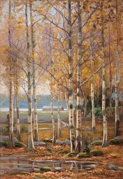 15. Edvard Westman, BIRCH TREES IN AUTUMN COLORS.