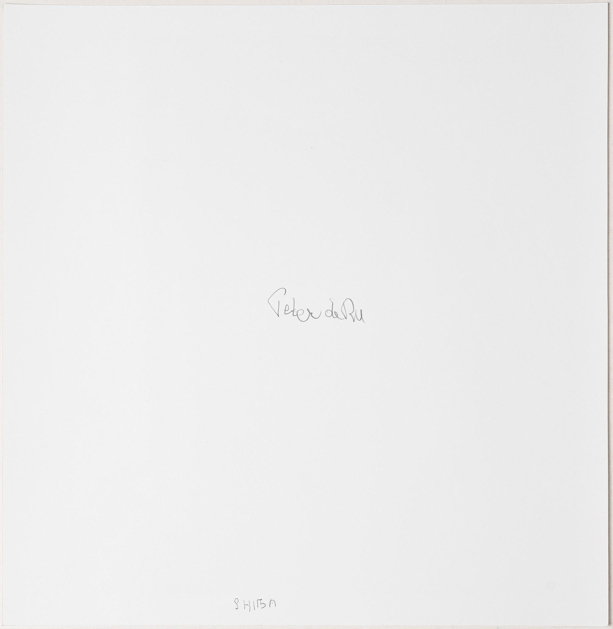 Peter de Ru, "Shiba (Japanese Spitz)", 2004.