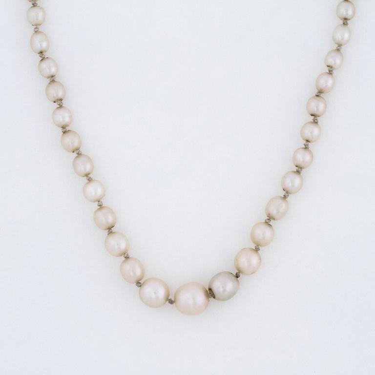 A necklace probably with oriental pearls.