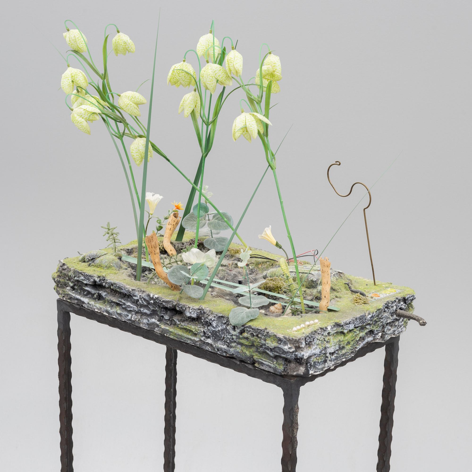 Veit Laurent Kurz, "Pond#2". (Niche Displacement Series).