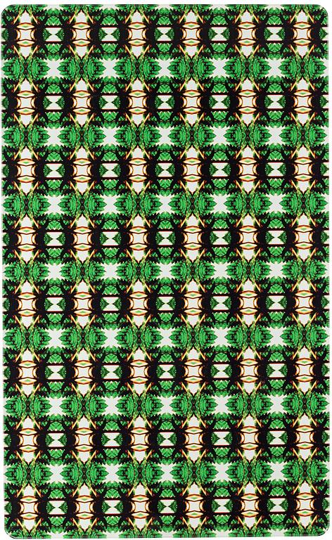 Tuija Lindström, From the series "12 Fractals of One Plant", 2004.