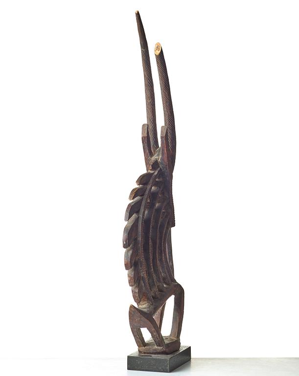 SKULPTUR, huvudprydnad, Tshiwara/Ciwara (stiliserad antilophane), trä, Bambara-stammen, Mali, höjd 94 cm. På sockel.