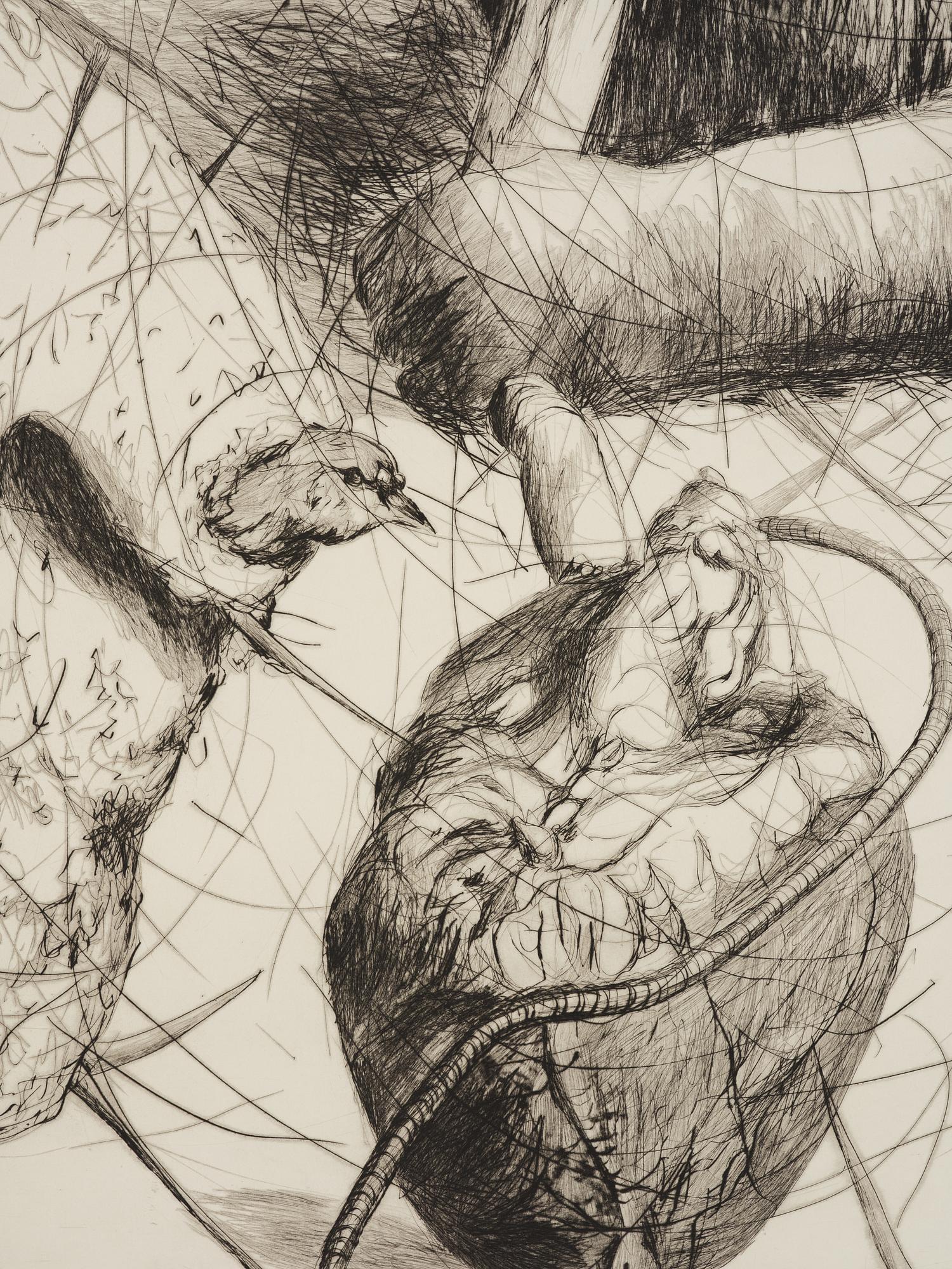 Linn Fernström, "Hjärtbitare".