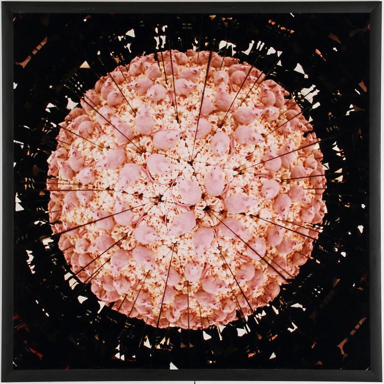 STEFAN HOLM, fotografi, signerat och daterat -96 samt numrerat 1/25 a tergo.