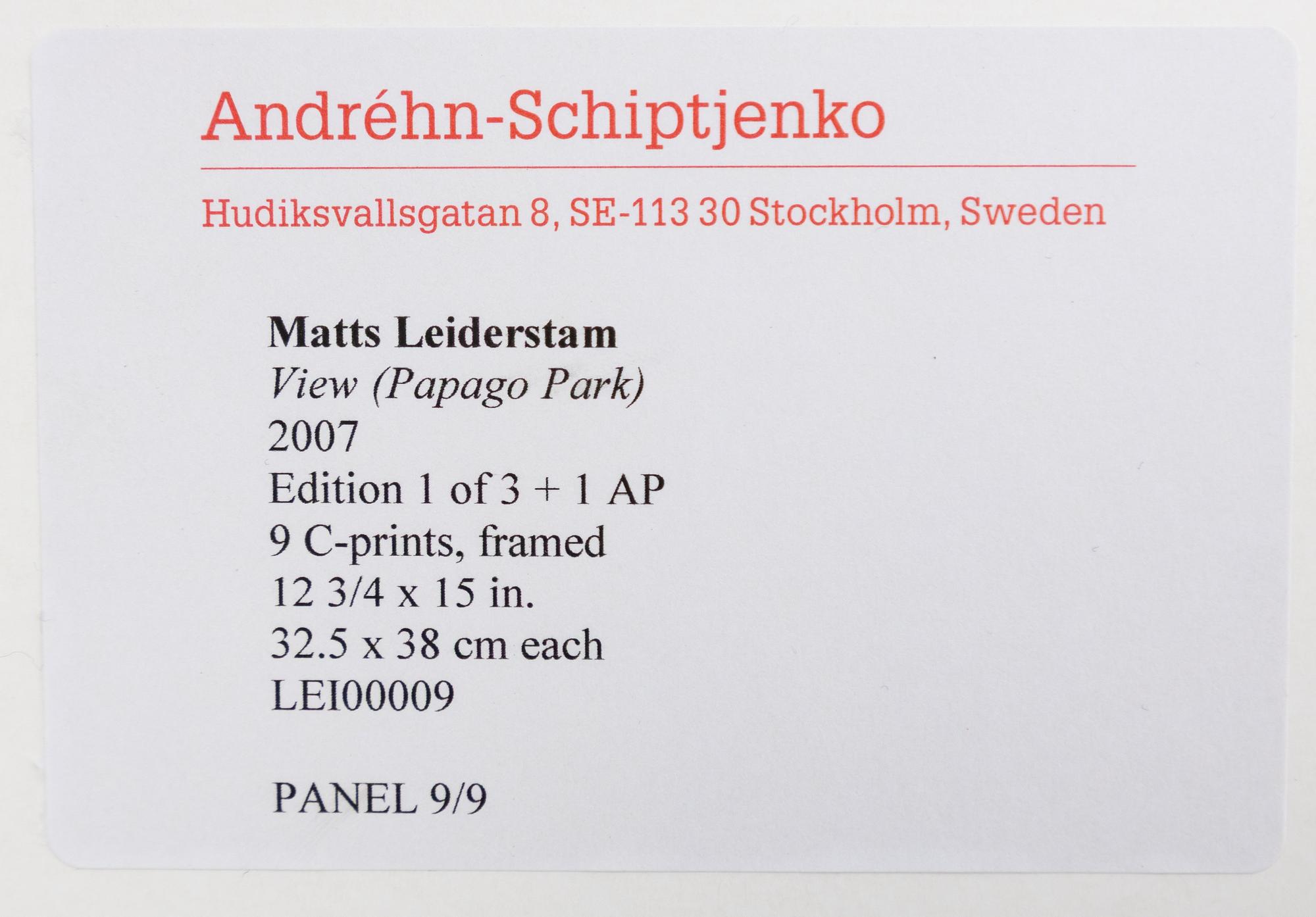 Matts Leiderstam, View (Papagoo Park), 2007.