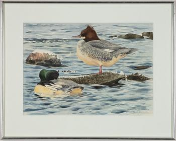 Lars Jonsson, "Storskrakepar".