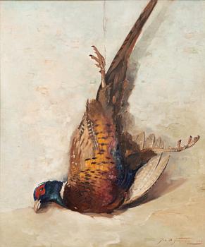 Jan Bohumil Pospisil, Pheasant.