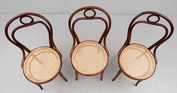 STOLAR, 3 st, Thonet, 1900-talets början.
