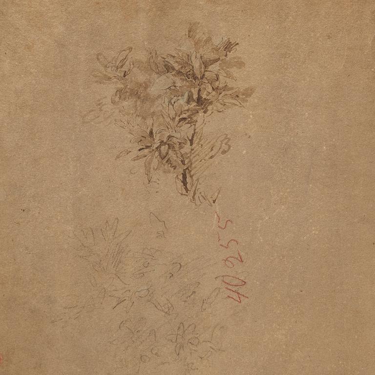 An extensive mountainous landscape with buildings by a river; verso Study of a plant.