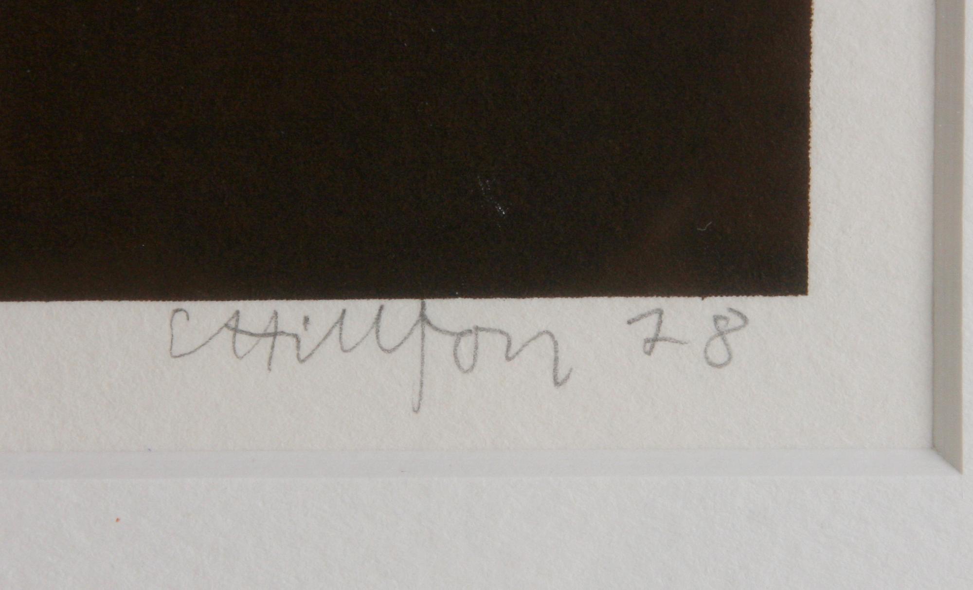 HILLFON, CURT, färglitografi, sign o dat 78, numr 4/100.