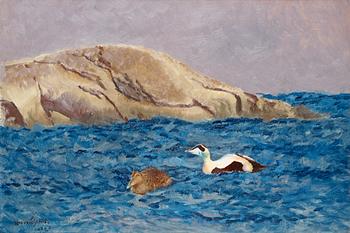 88. Bruno Liljefors, Eiders by an islet.