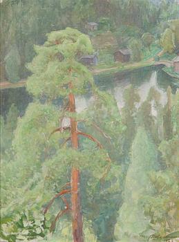 Pekka Halonen, Näkymä Kotajärveltä.