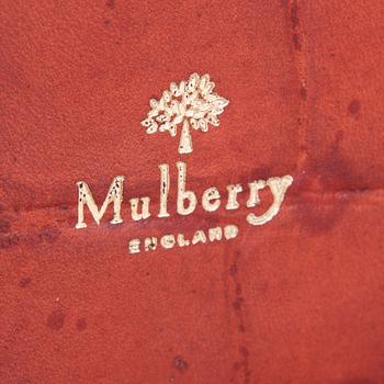 RADIO, Roberts Revival R250 , Edition Mulberry, England.