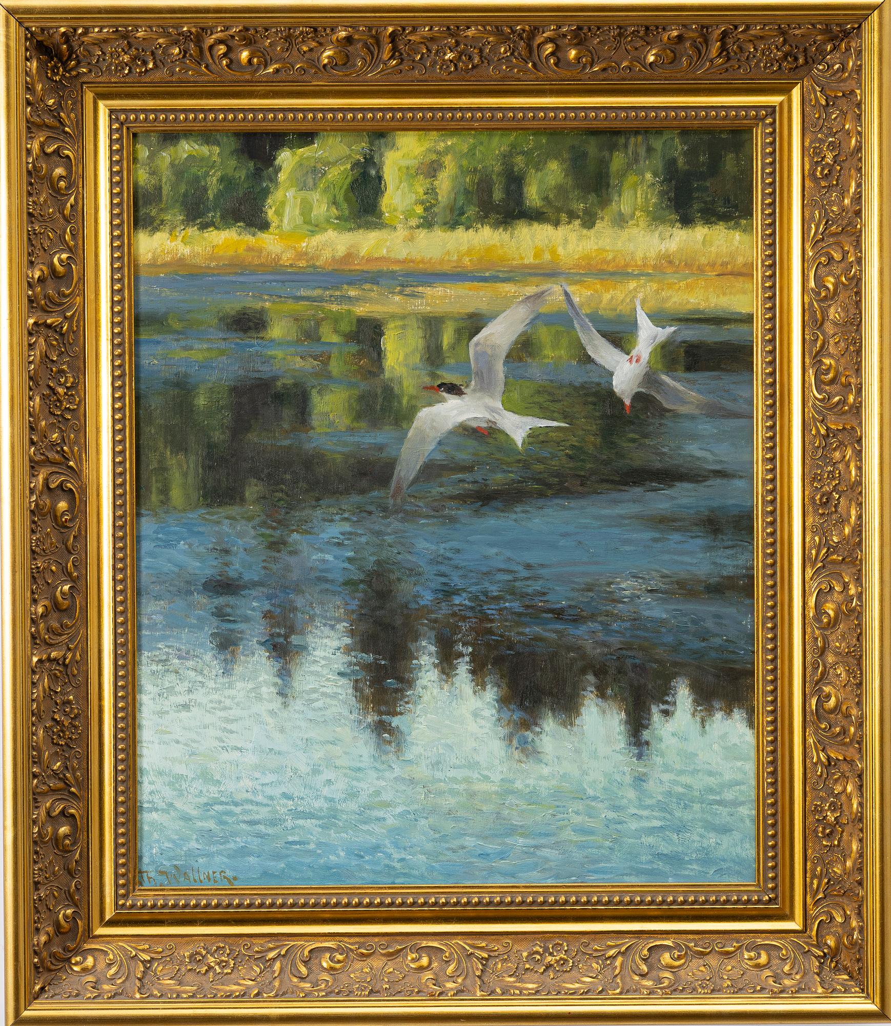 Thure Wallner, Tern bird.