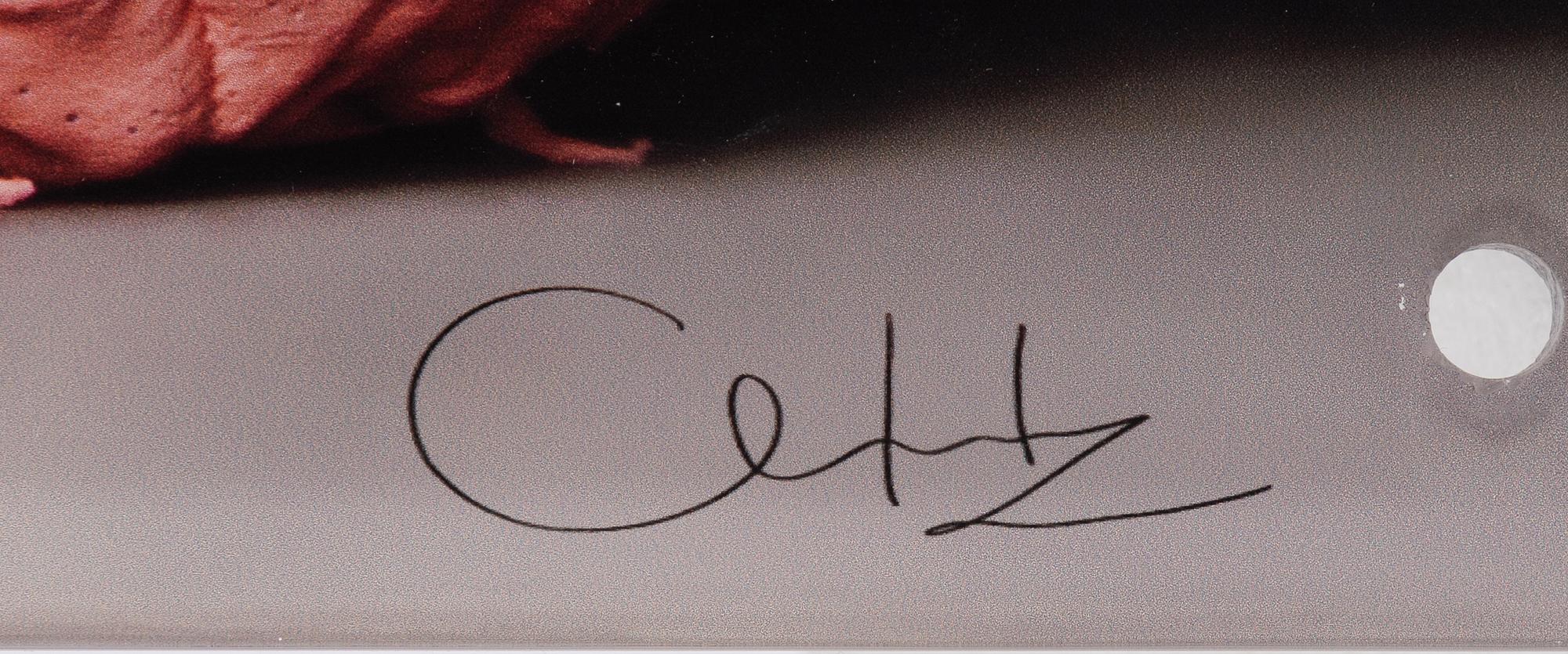Clara Hallencreutz, crystal archive paper mounted plexi, signed.