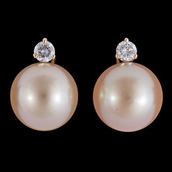 A pair cultured of golden South sea pearl, 13,8 mm, and brilliant cut diamond earrings, tot. 0.60 cts.