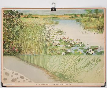 SKOLPLANSCHER, 4 st, 1900-tal.