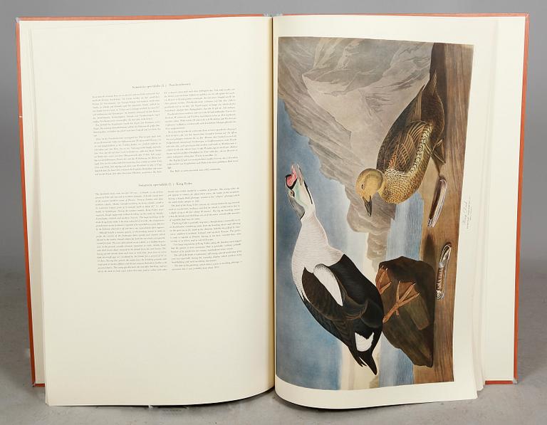 BOK, "The birds of America", av John James Audubon.