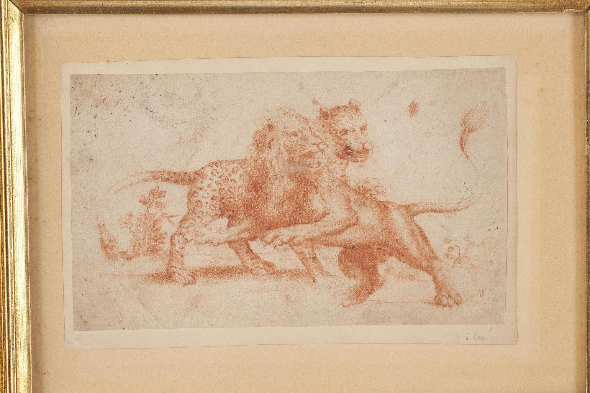 Carle van Loo Circle of, Leopard and lion.