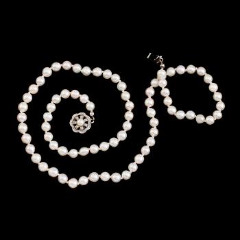 PÄRLCOLLIER, odlade pärlor, silverlås.