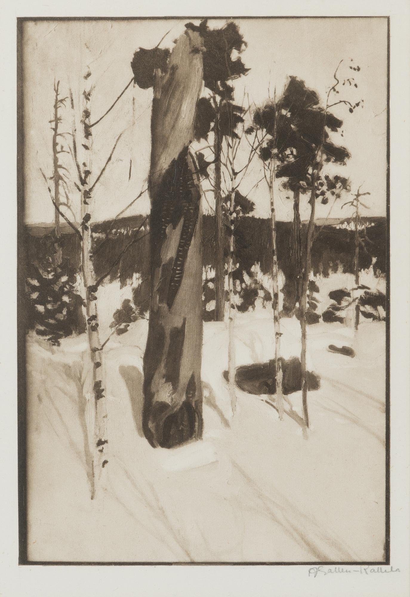 Akseli Gallen-Kallela, heliogravyyri, signeerattu.