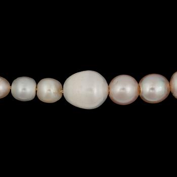 PEARLS, natural, bought in China in 1920. Not strung.
