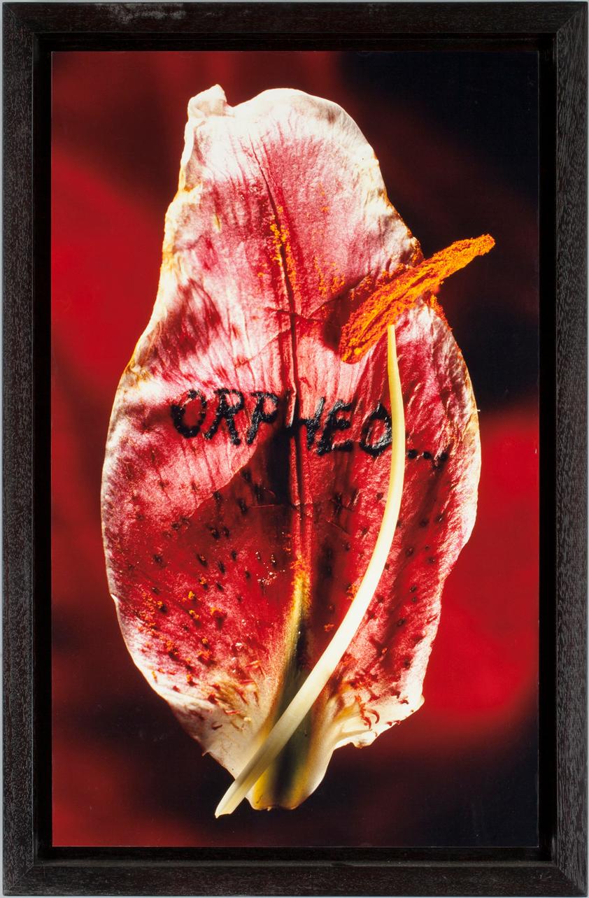 ANNE & PATRICK POIRIER, C-print monterad på aluminium.