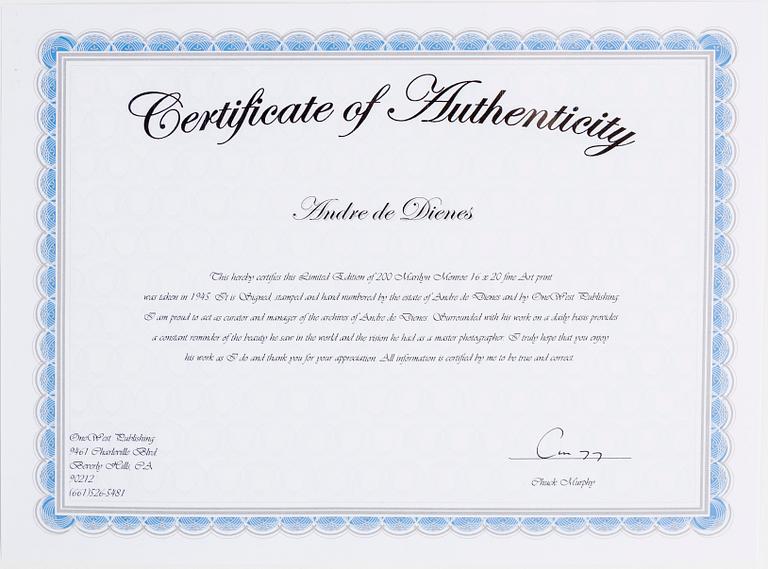 ANDRÉ DE DIENES, efter, photo/fine art print, stamped by the estate 119/200 and dated 2006 verso.